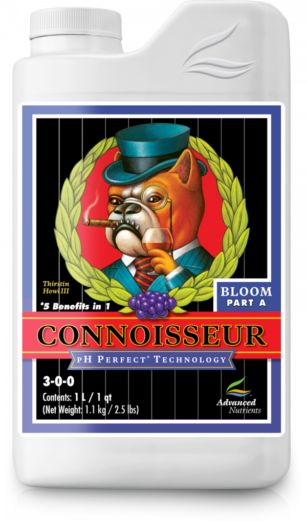 PH Perfect Connoisseur Bloom A