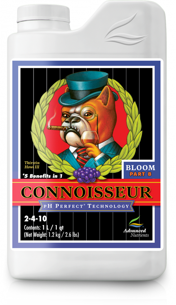 PH Perfect Connoisseur Bloom B