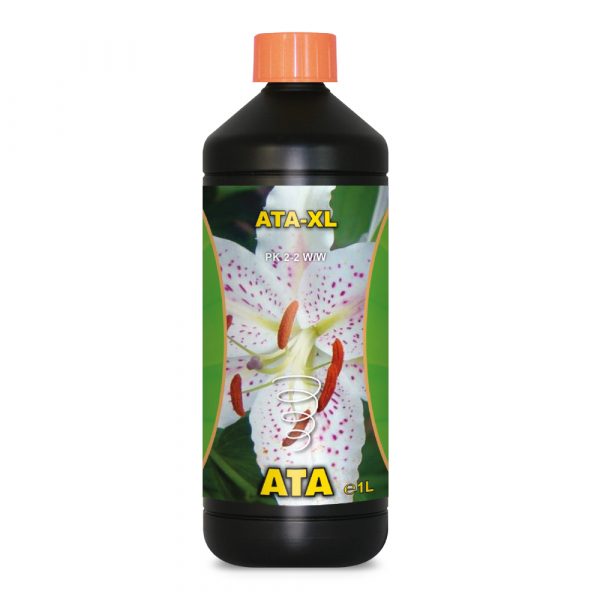 Ata-XL