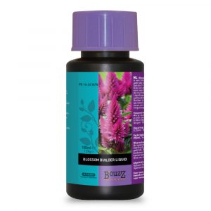 Blossom Builder Liquido