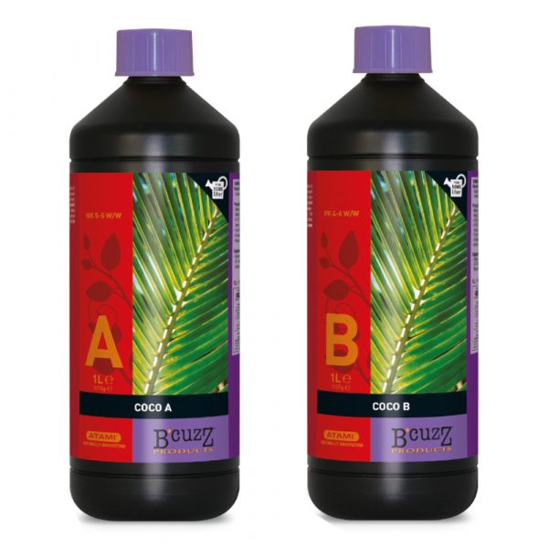 Coco A+B