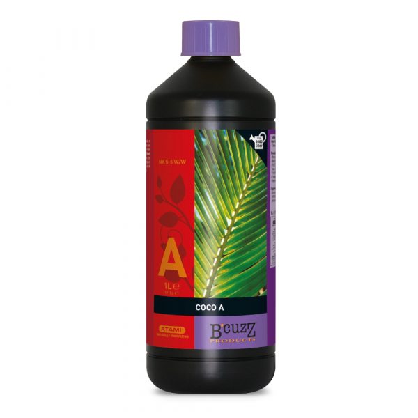 Coco A