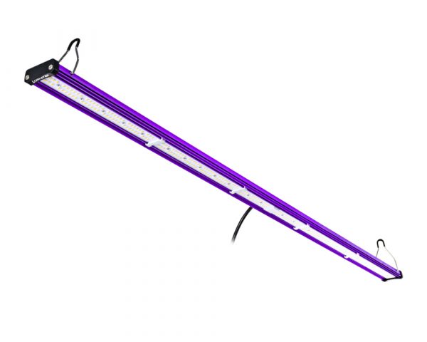 Barra LED Lumatek 100w + Driver