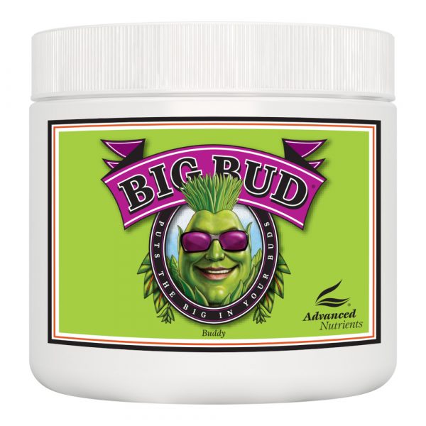 Big Bud Powder
