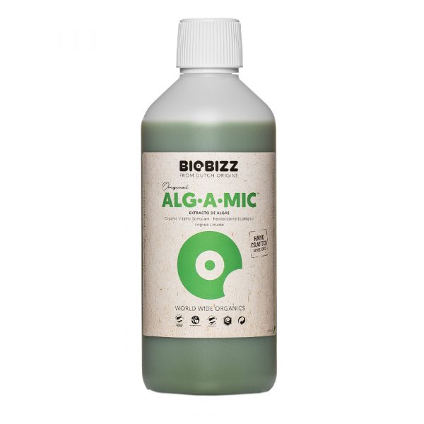 Alg A Mic