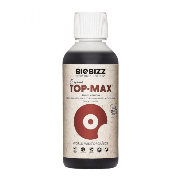 Top Max