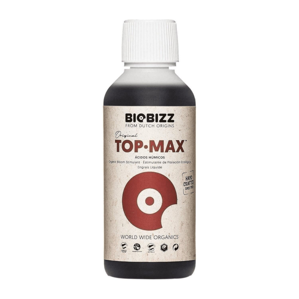 Top Max