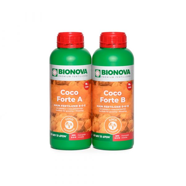 Coco Forte A+B