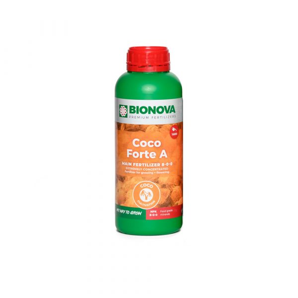 Coco Forte A