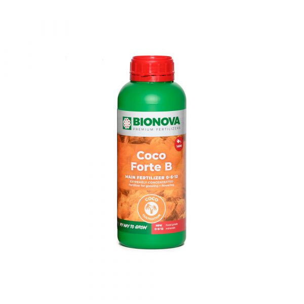 Coco Forte B