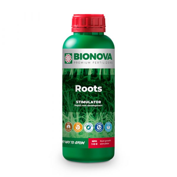 BN Roots