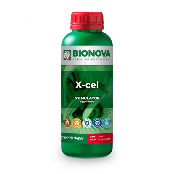 BN X-Cel