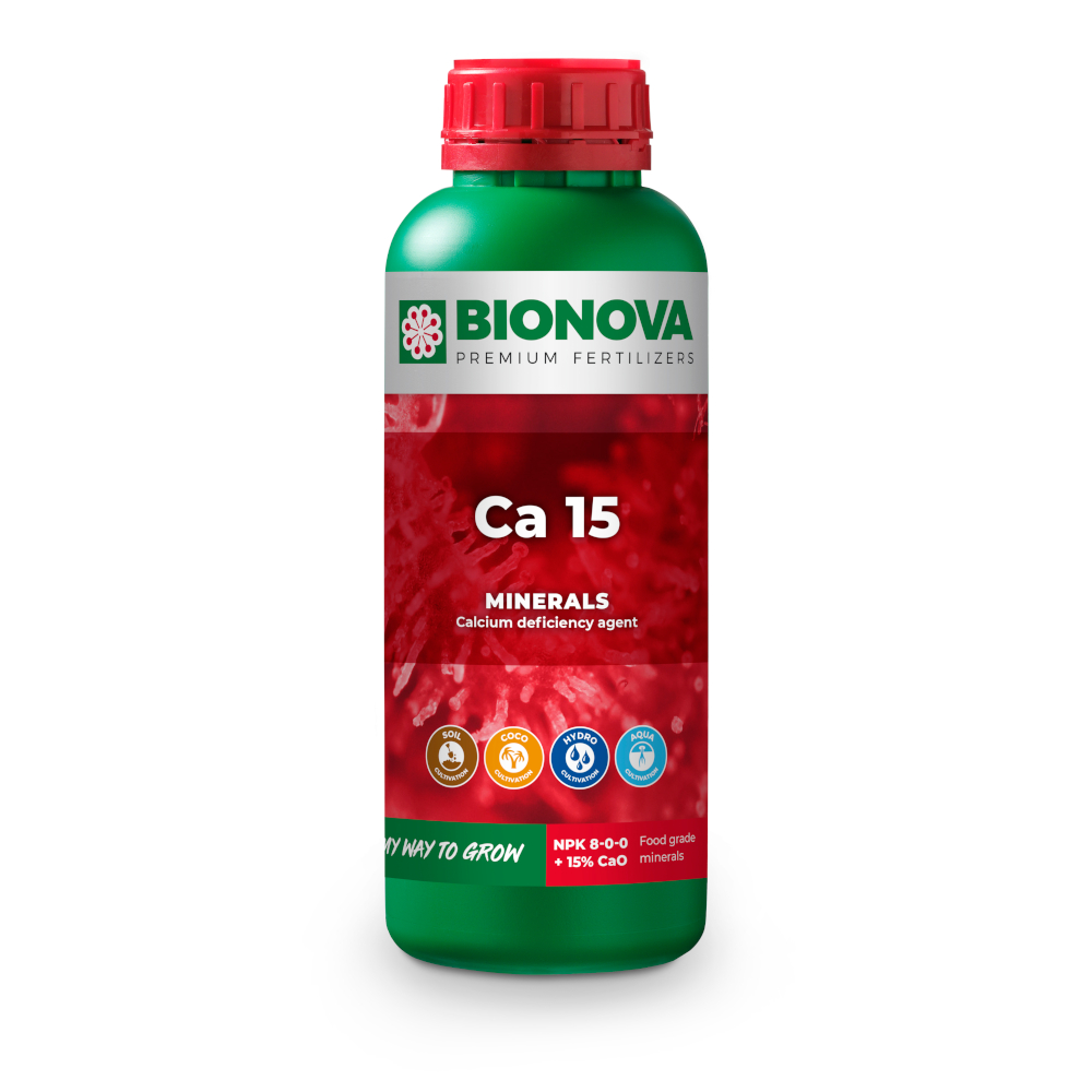 Ca 15