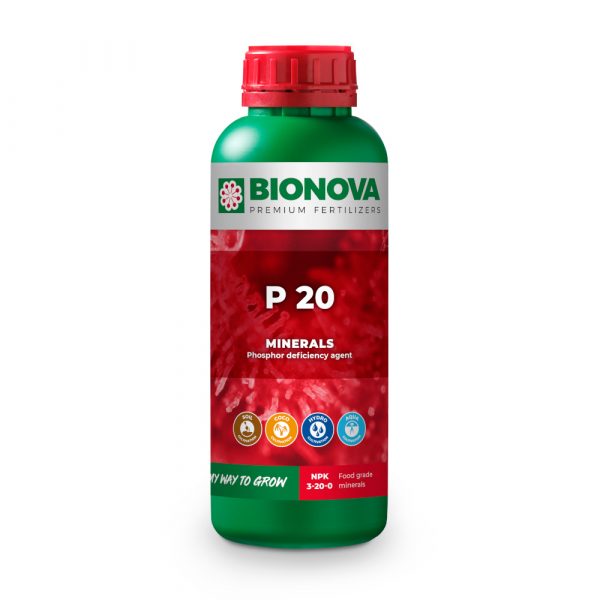 P 20