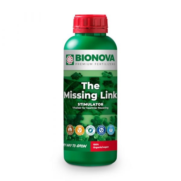 The Missing Link