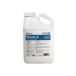 BLOOM A ATHENA