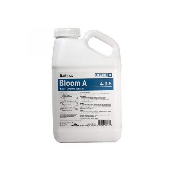 BLOOM A ATHENA