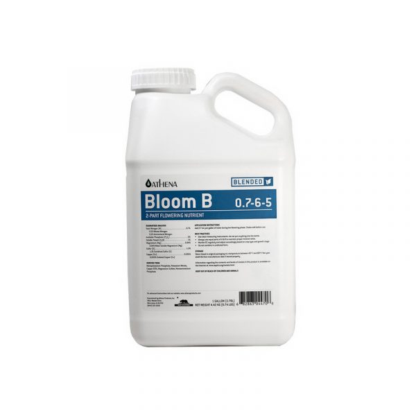 BLOOM B ATHENA