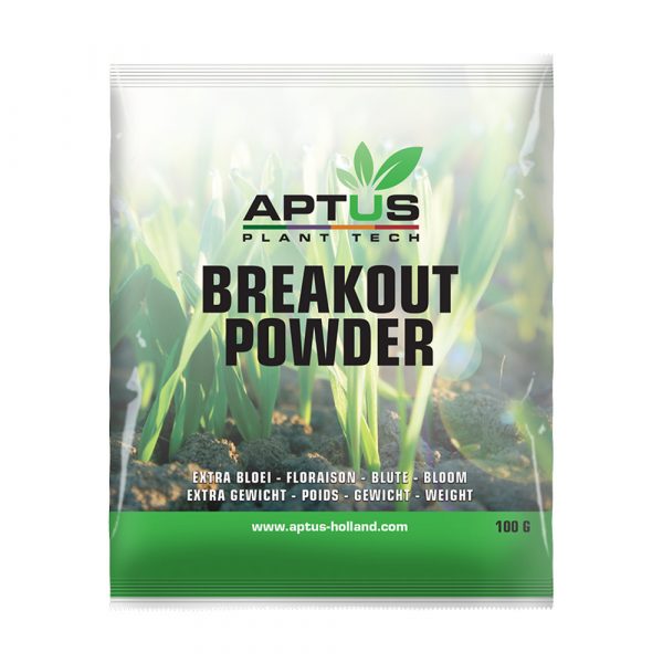 Breakout Powder 100g