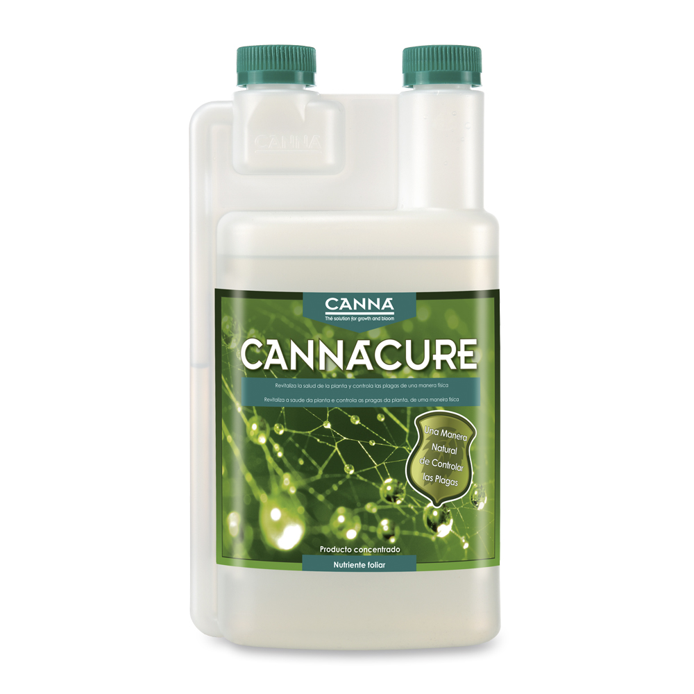 CannaCure