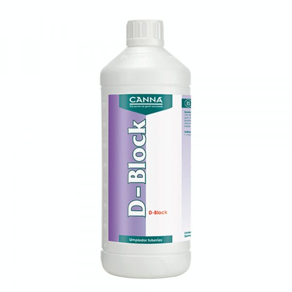 D-Block 1L