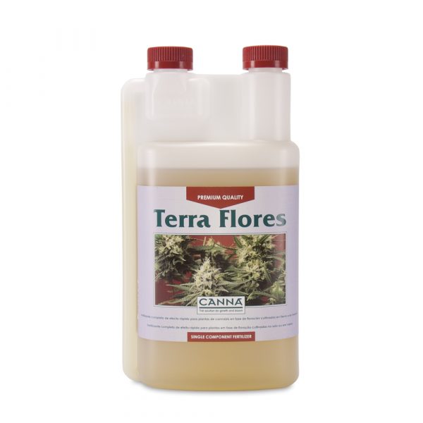 Terra Flores