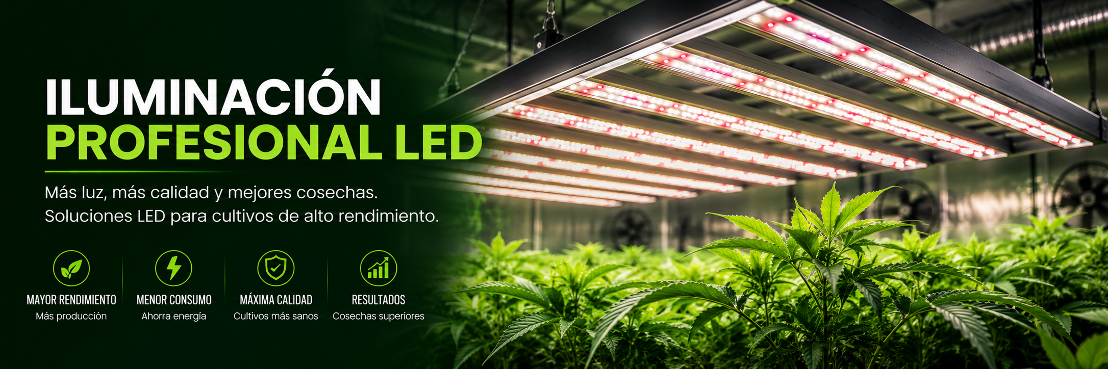 Iluminación LED profesional para cultivo
