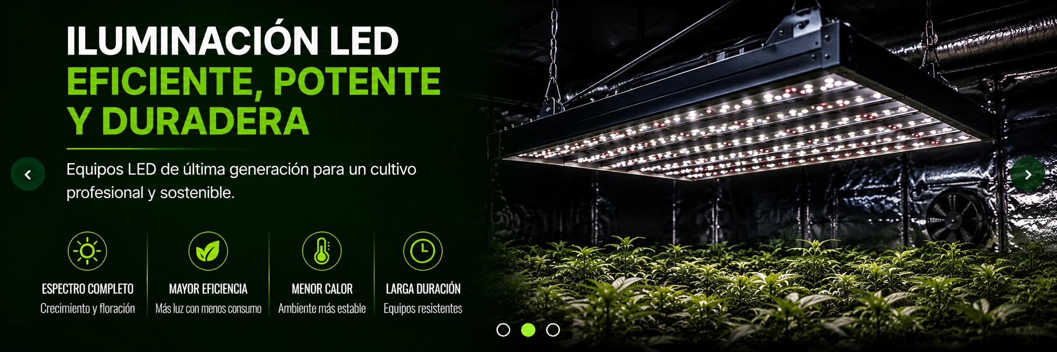 Equipos LED eficientes para horticultura