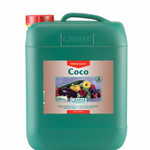 Coco A