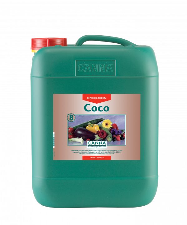 Coco B