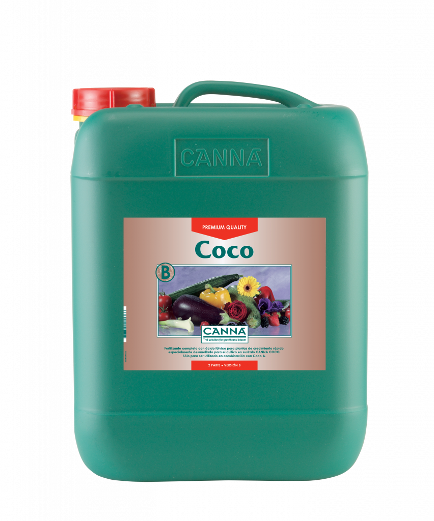 Coco B