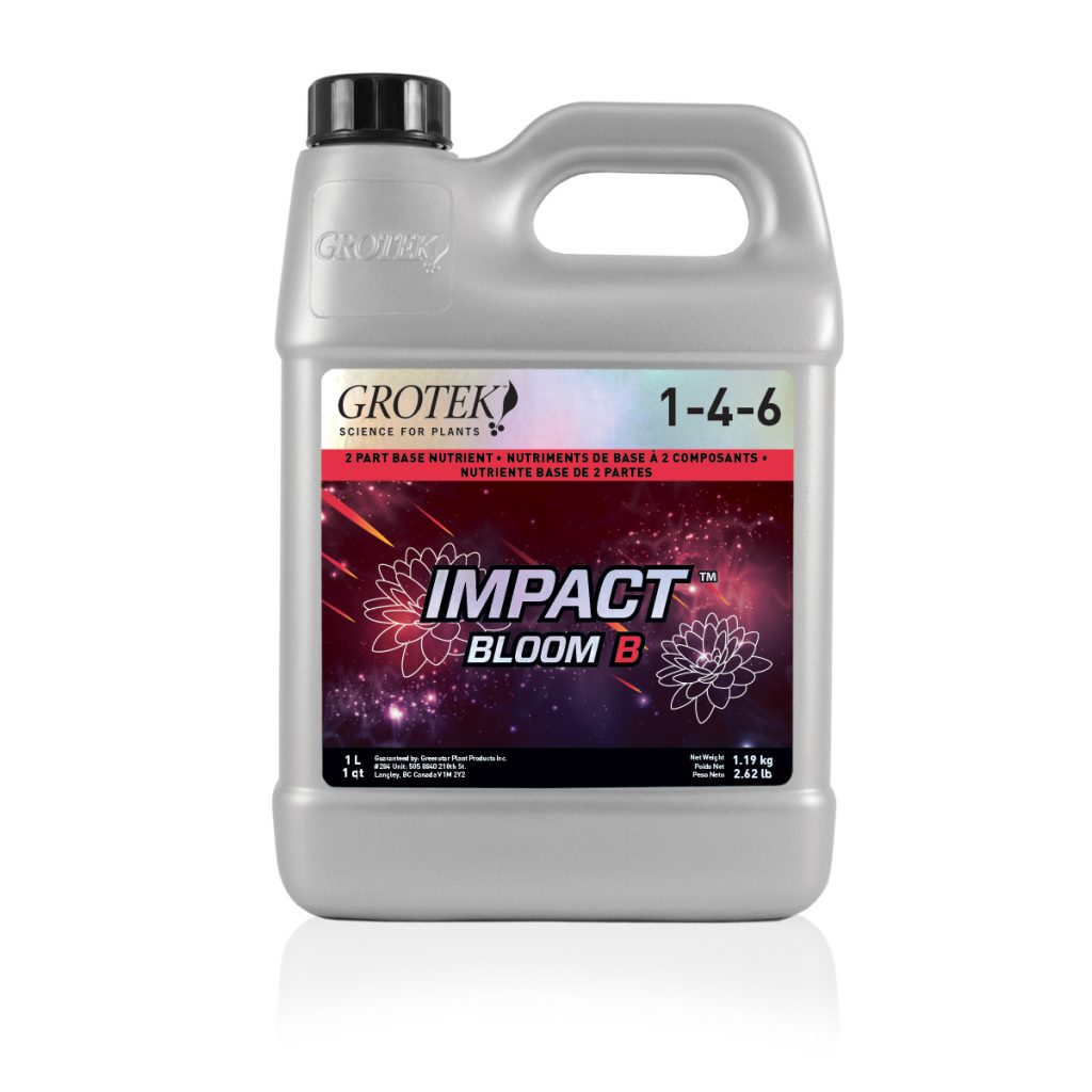 Impact Bloom B