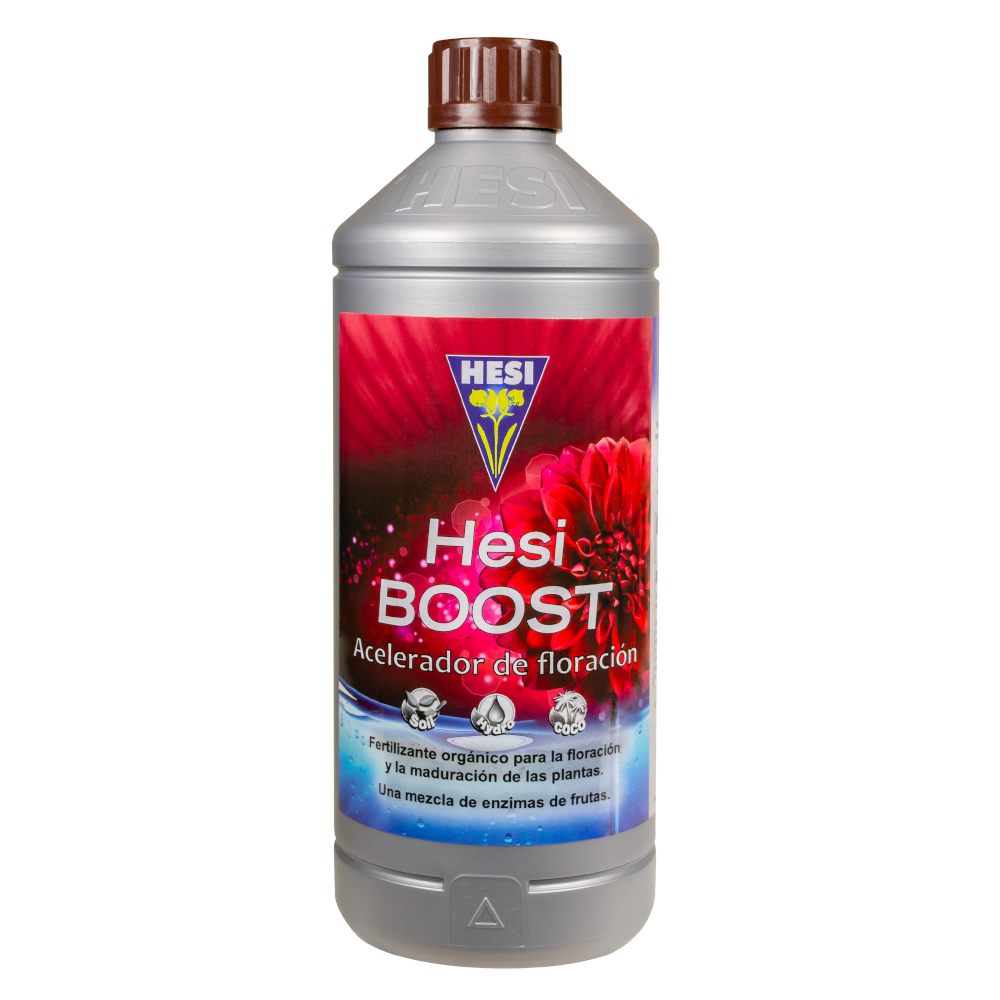 Hesi Boost