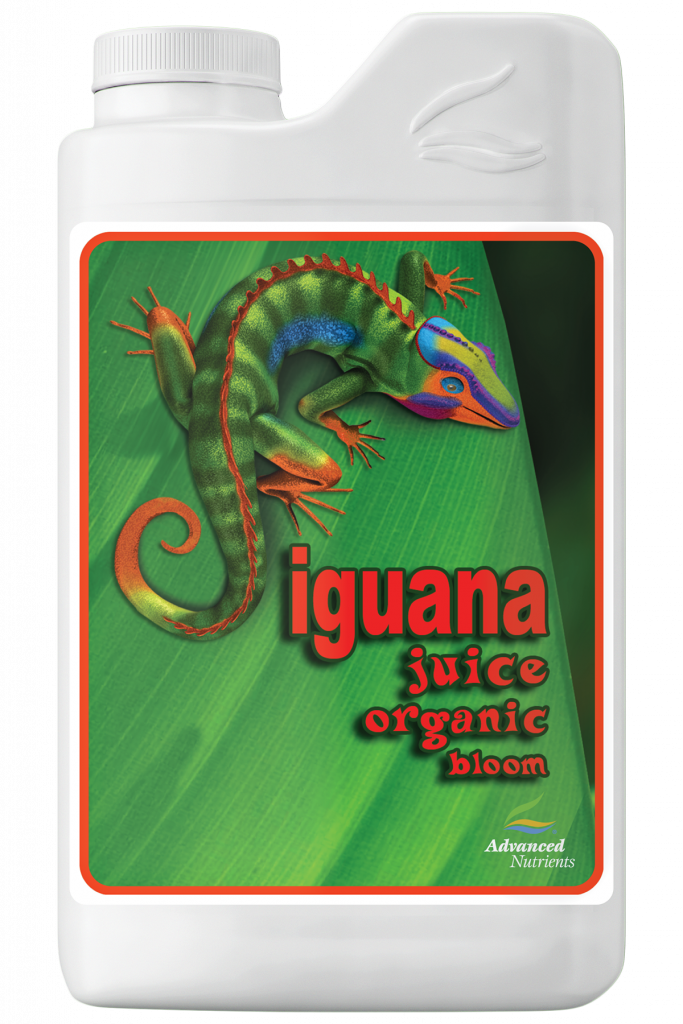 Iguana Juice Organic Bloom
