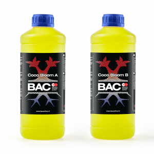Kit Coco Bloom A&B