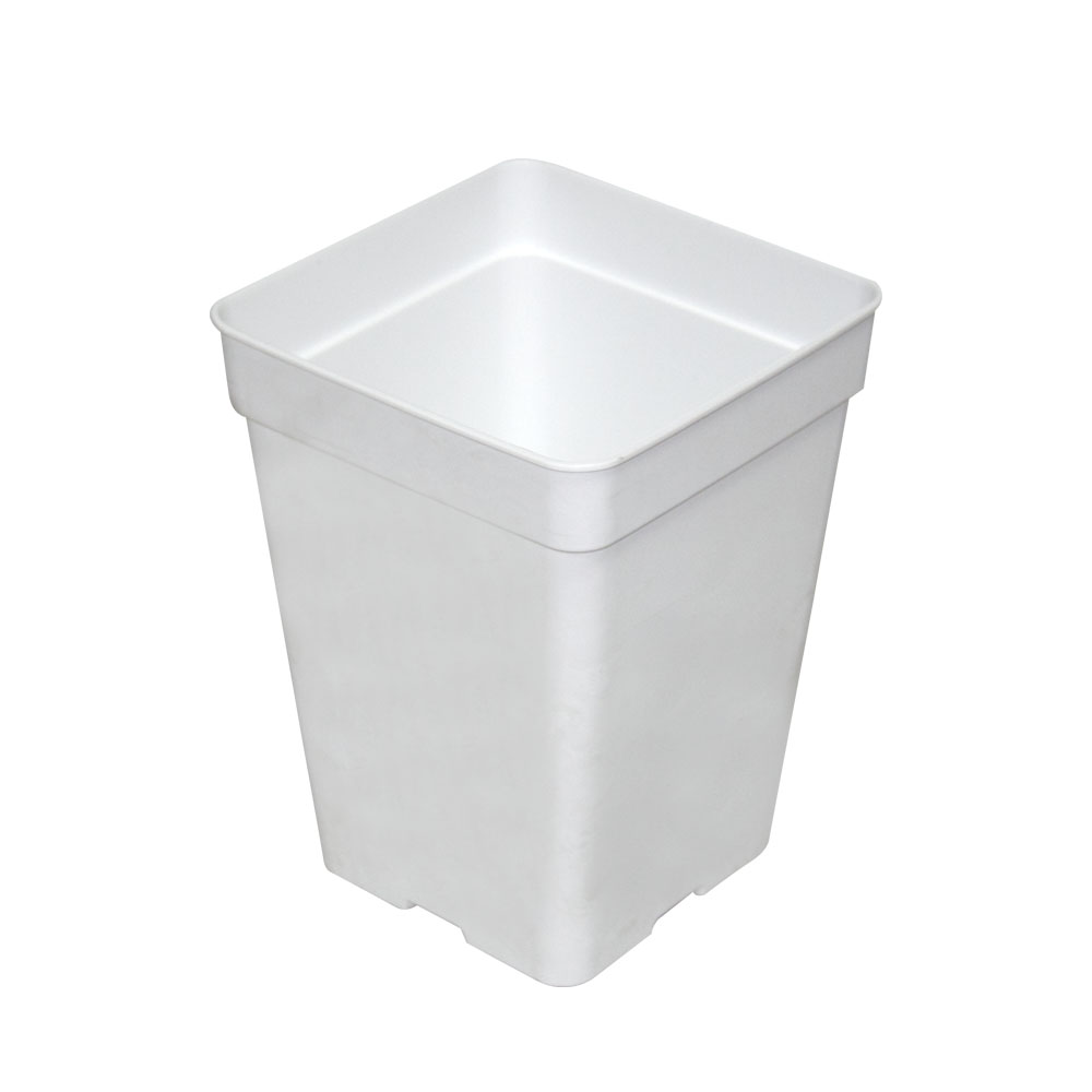 Maceta Blanca