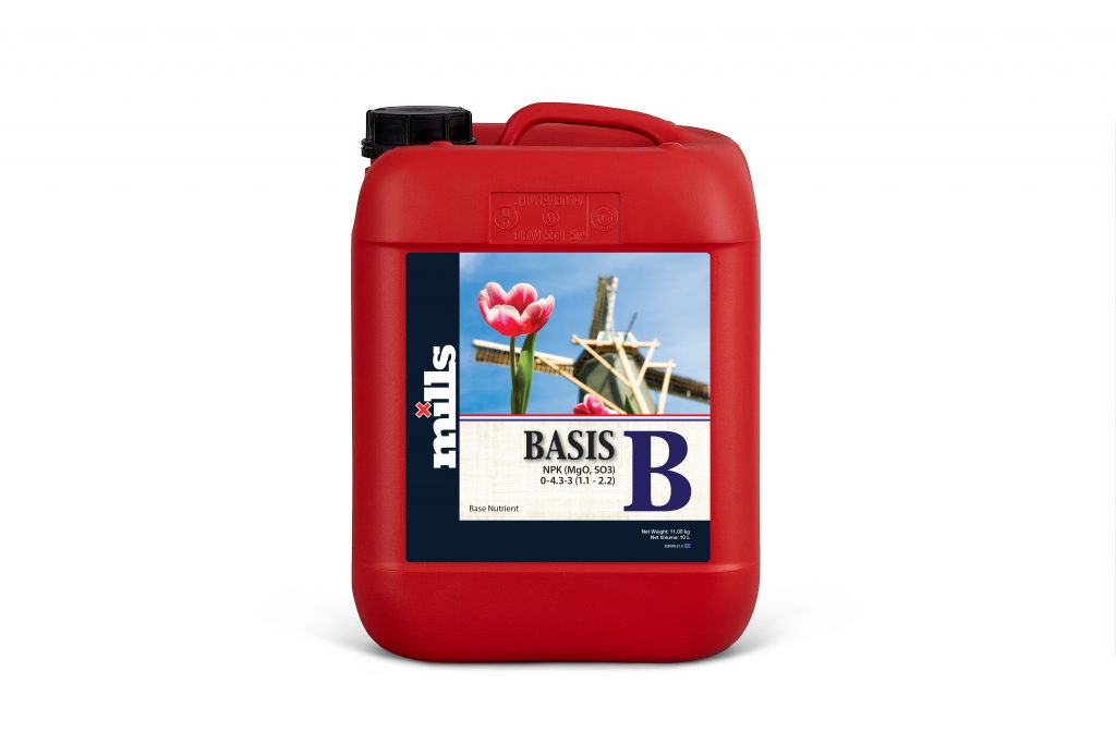 Mills Basis B