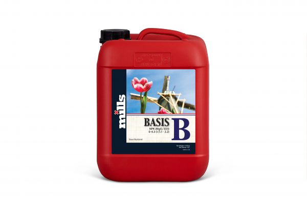 Mills Basis B