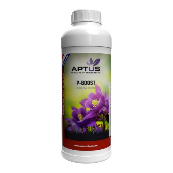 P-Boost