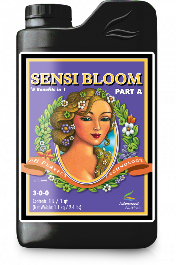 Sensi Bloom A