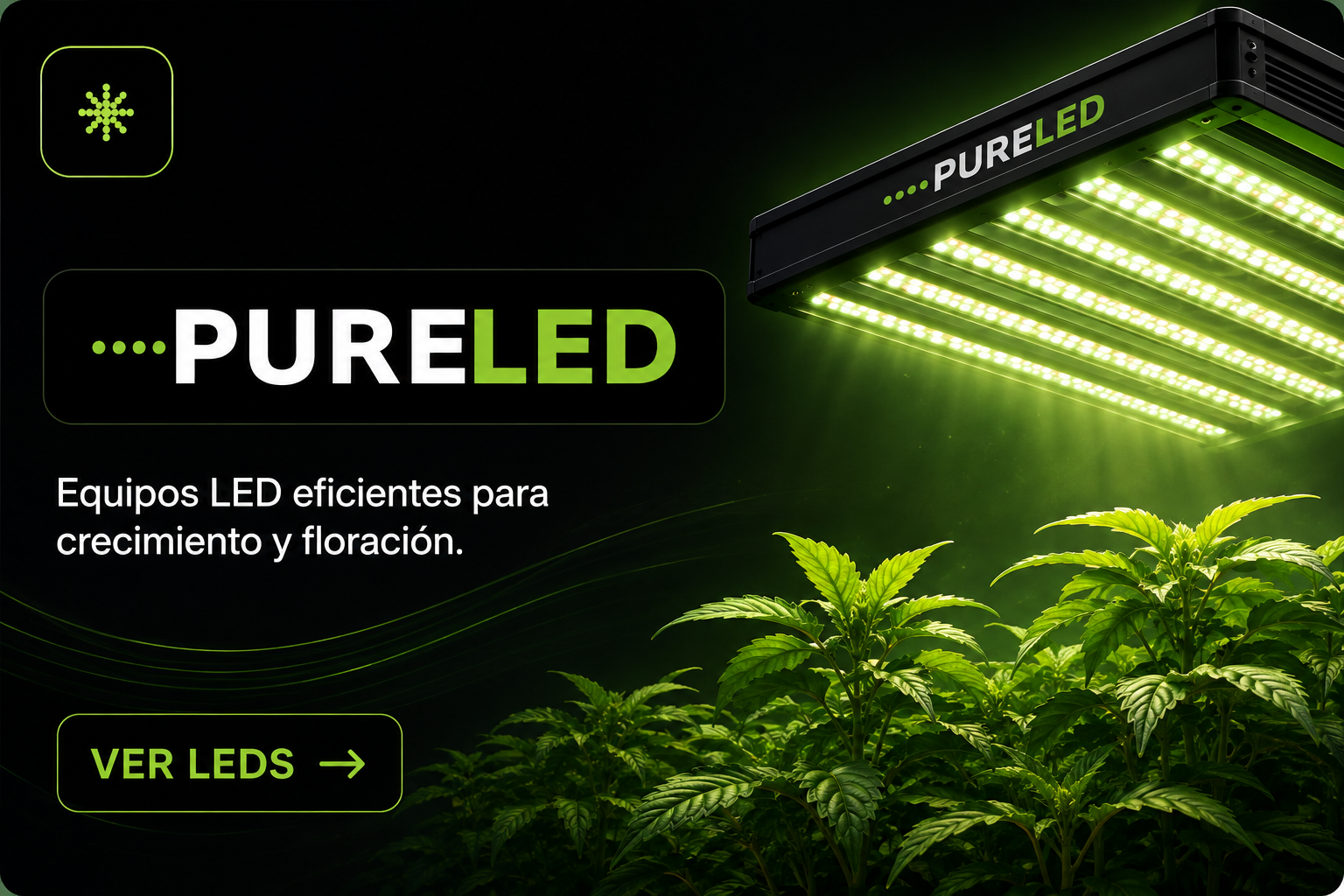 Pure LED