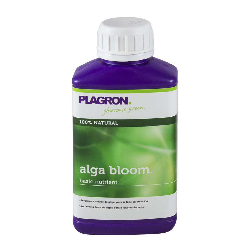 Alga Bloom