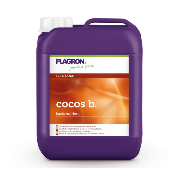 Cocos B