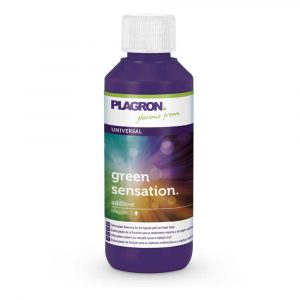 Green Sensation