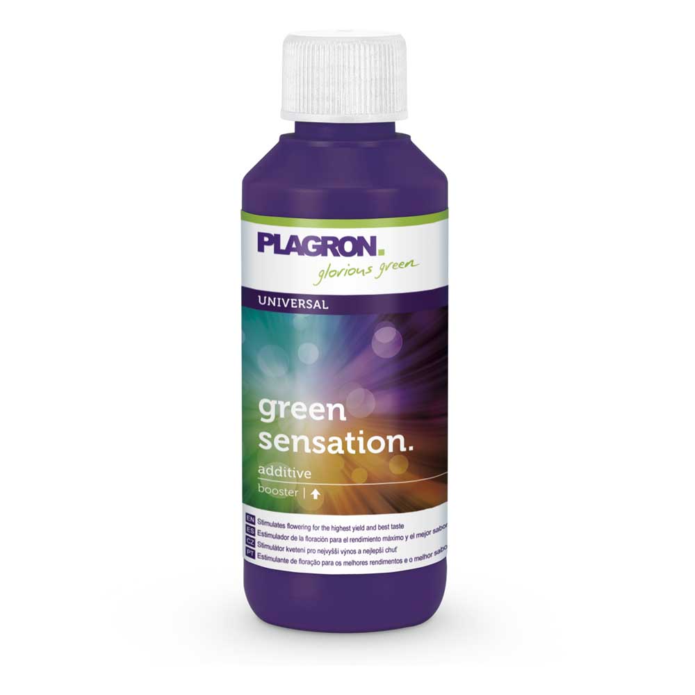 Green Sensation