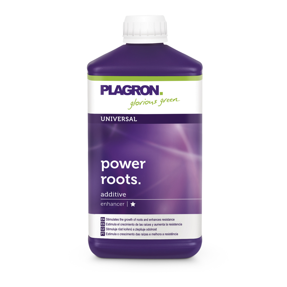 Power Roots