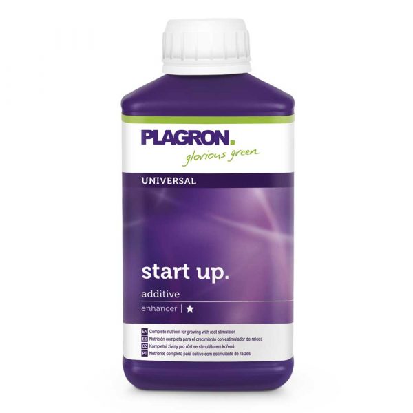 Start Up