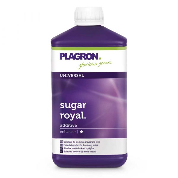 Sugar Royal