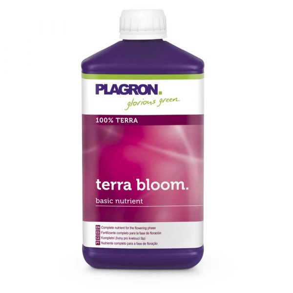 Terra Bloom
