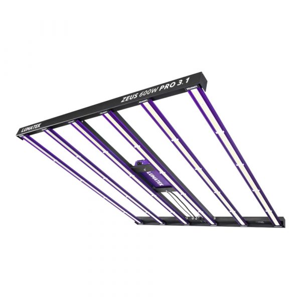 Pro LED Zeus Lumatek 600w 3.1